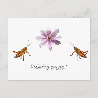 Cartes Pour Fêtes Annuelles Clematis Nelly Moser. Wishing you joy!