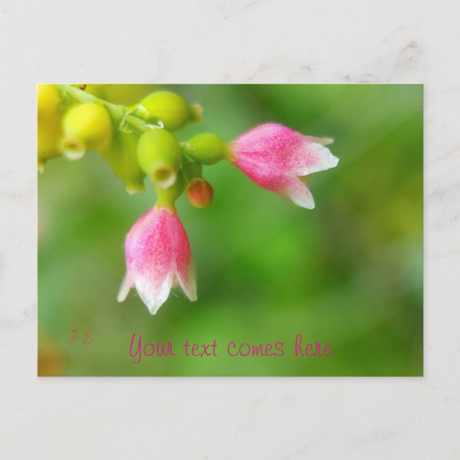 Cartes Pour Fêtes Annuelles cloches roses (Devant)