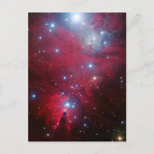 Cartes Pour Fêtes Annuelles Cluster d'étoiles de Noël (Devant)