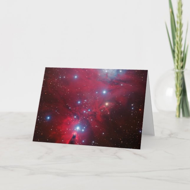 Cartes Pour Fêtes Annuelles Cluster d'étoiles de Noël (Devant)