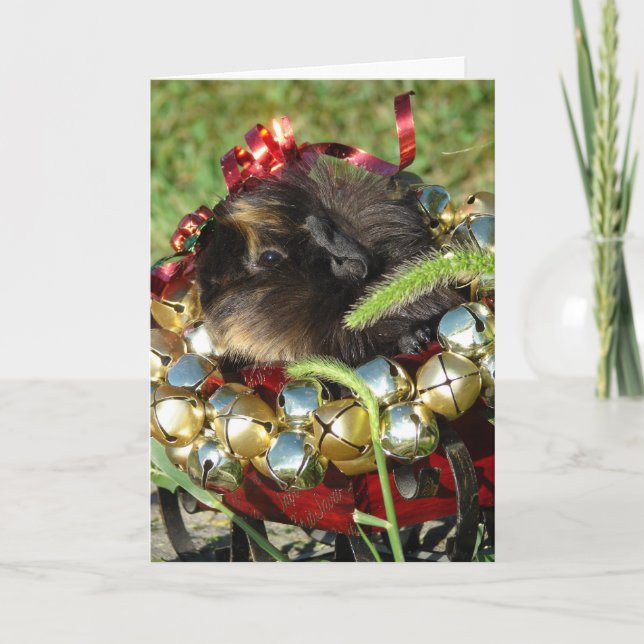 Cartes Pour Fêtes Annuelles Cobaye de Jingle Bell (Devant)