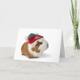 Cartes Pour Fêtes Annuelles Cobaye mignon avec le casquette de Noël sur le