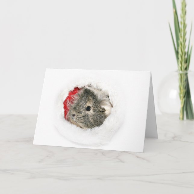 Cartes Pour Fêtes Annuelles Cobaye Père Noël (Devant)