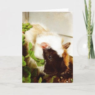Cartes Pour Fêtes Annuelles Cochon de Guinée, Pâques