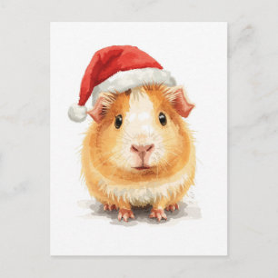 Cartes Pour Fêtes Annuelles Cochon d'Inde mignon avec chapeau de Père Noël aqu