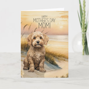 Cartes Pour Fêtes Annuelles Cockapoo Chien Coucher de soleil Plage Fête des Mè