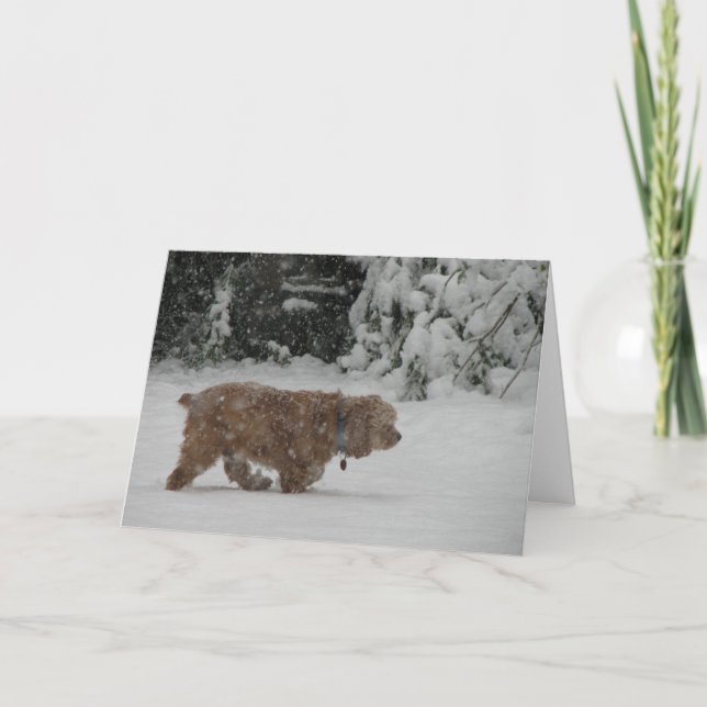 Cartes Pour Fêtes Annuelles Cocker de Milou (Devant)