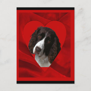 Cartes Pour Fêtes Annuelles Cocker Spaniel Valentine