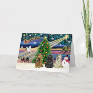 Cartes Pour Fêtes Annuelles Cocker Spaniels de la magie de Noël (trois)