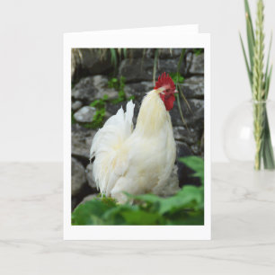 Cartes Pour Fêtes Annuelles Cockerel à Madère