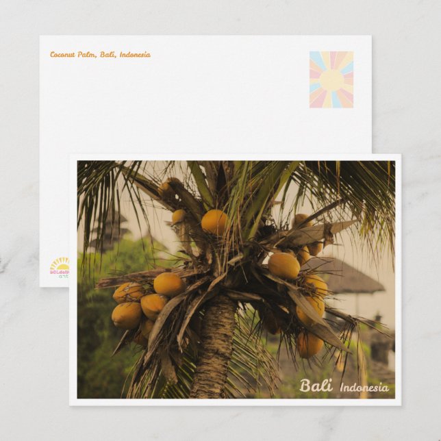 Cartes Pour Fêtes Annuelles Coconut Palm, Bali Indonesia - Travel Postcard (Devant / Derrière)