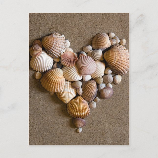 Cartes Pour Fêtes Annuelles Coeur Saint Valentin fait avec des coquilles (Devant)