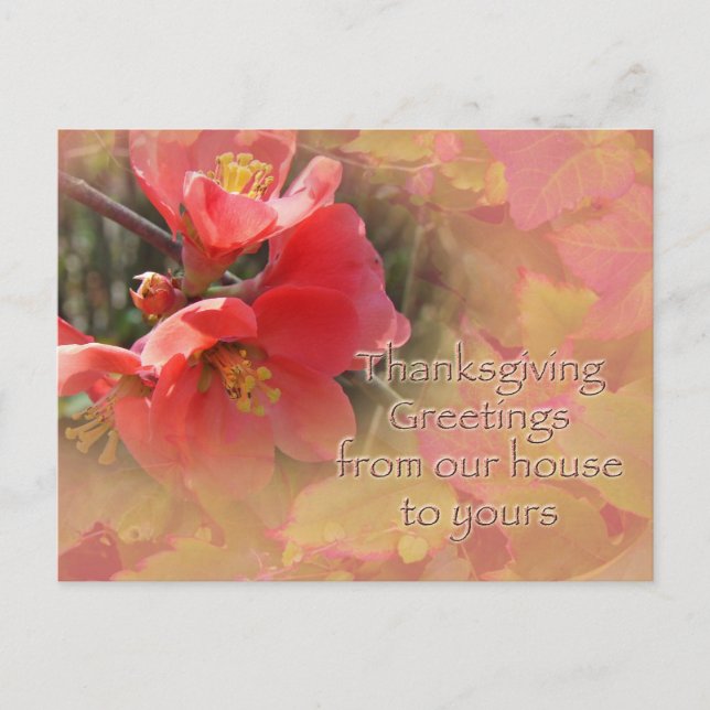 Cartes Pour Fêtes Annuelles Coing de floraison - Chaenomeles speciosa (Devant)