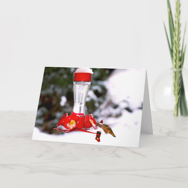 Cartes Pour Fêtes Annuelles Colibri de Noël et neige (Devant)