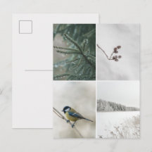 Collage de photos de la nature en hiver