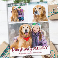 Collage photo de chien de compagnie mignon Joyeux