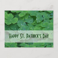 Collection de Saint-Patrick