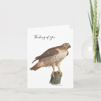 Cartes Pour Fêtes Annuelles Collection Hawk Note Card