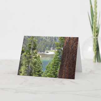 Cartes Pour Fêtes Annuelles Collection verte de château de Vikingsholm de baie