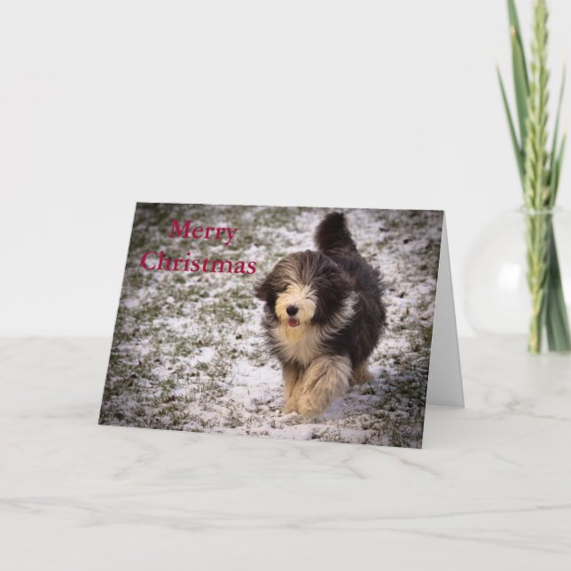Cartes Pour Fêtes Annuelles Colley barbu (Devant)