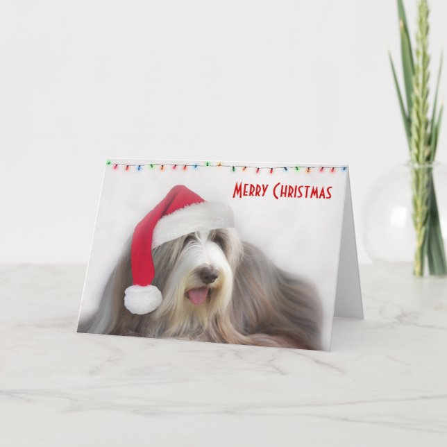 Cartes Pour Fêtes Annuelles Colley barbu de Joyeux Noël (Devant)