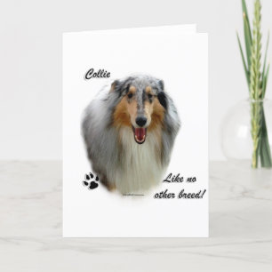 Cartes Pour Fêtes Annuelles Collie Comme Aucune Autre race