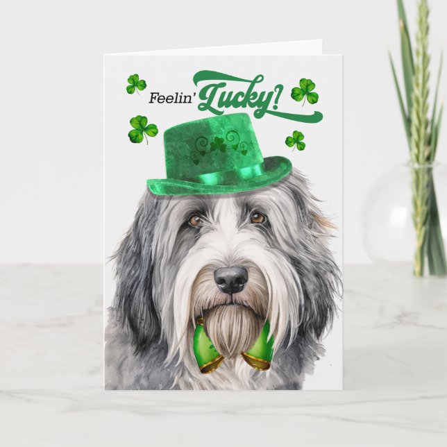 Cartes Pour Fêtes Annuelles Collie Dog Lucky St Patrick's Day (Devant)