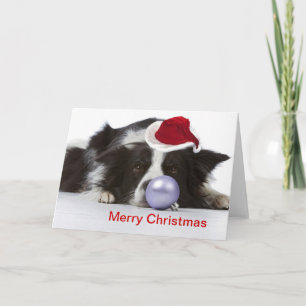 Cartes Pour Fêtes Annuelles collie frontière avec le casquette de noël