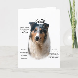 Cartes Pour Fêtes Annuelles Collie (merle lisse)