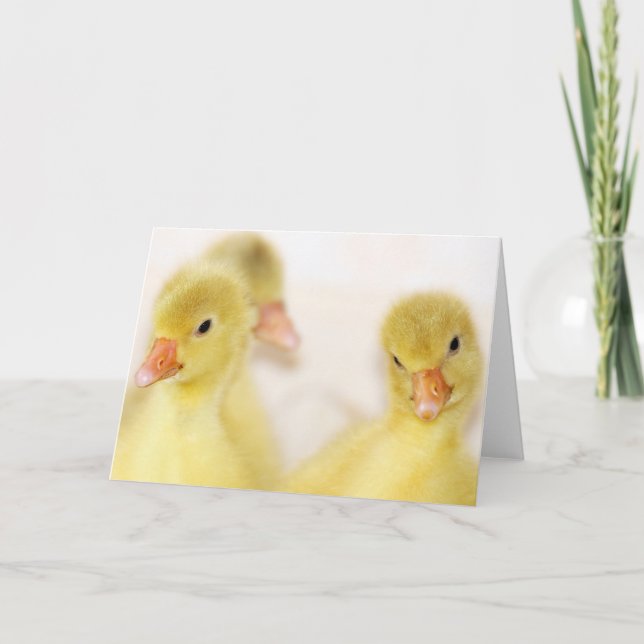 Cartes Pour Fêtes Annuelles Collier jaune flouffeux (Devant)