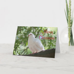 Cartes Pour Fêtes Annuelles Colombe blanche