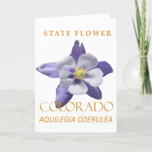Cartes Pour Fêtes Annuelles Colorado Territoire Fleur Bleu Aquilegia coerulea