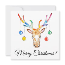Colourful Reindeer