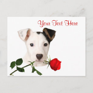 Cartes Pour Fêtes Annuelles Conception de Valentine de rose rouge de Jack