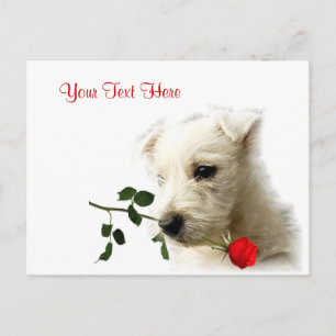 Cartes Pour Fêtes Annuelles Conception de Westie Red Rose Valentine