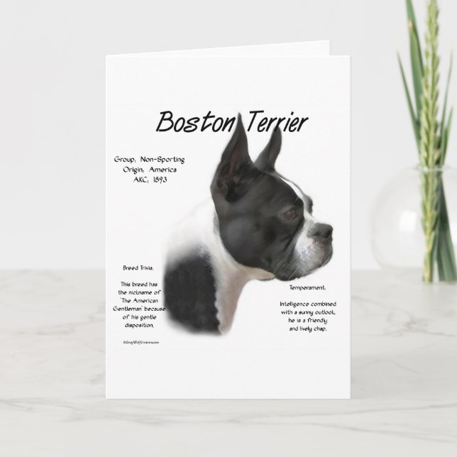 Cartes Pour Fêtes Annuelles Conception historique de Boston Terrier (Devant)