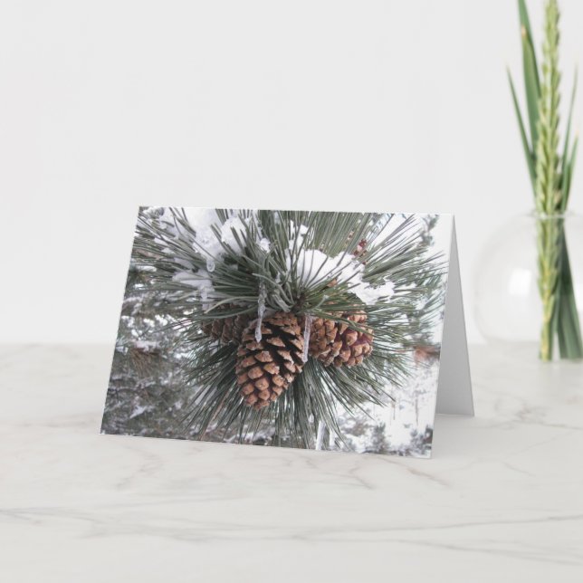 Cartes Pour Fêtes Annuelles Cônes de pin dans la neige (Devant)