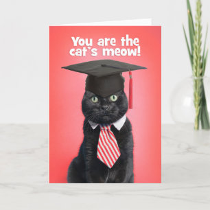 Cartes Pour Fêtes Annuelles Congratulations Graduate Cat in Graduation Cap