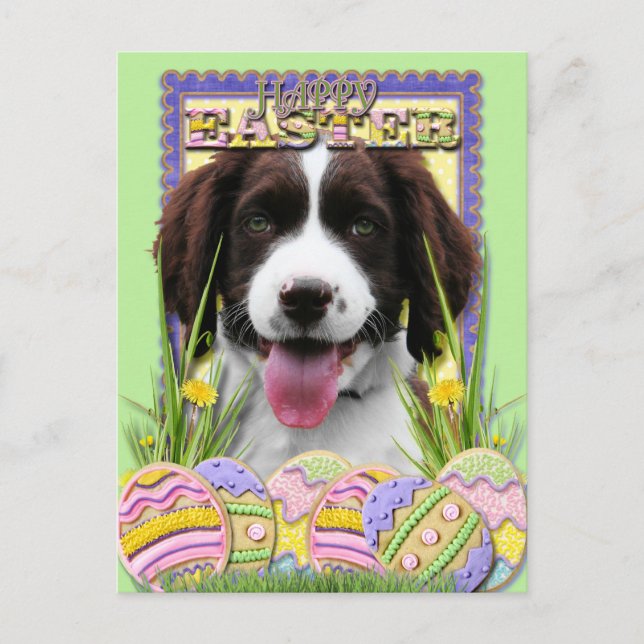 Cartes Pour Fêtes Annuelles Cookies d'oeufs de Pâques - Anglais Springer Spani (Devant)