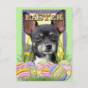 Cartes Pour Fêtes Annuelles Cookies d'oeufs de Pâques - Chihuahua