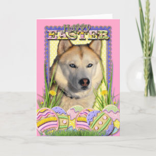 Cartes Pour Fêtes Annuelles Cookies d'oeufs de Pâques - Cuivre sibérien Husky