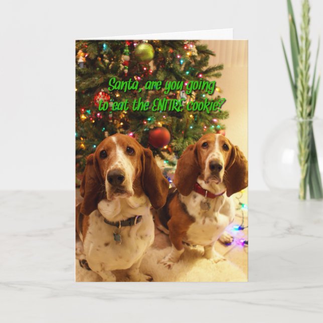 Cartes Pour Fêtes Annuelles Cookies pour Hounds (Devant)