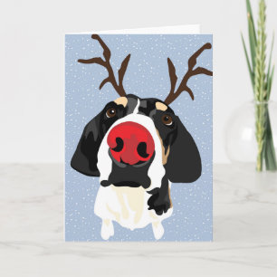 Cartes Pour Fêtes Annuelles Coonhound rouge de nez