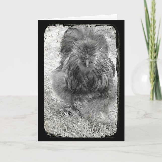 Cartes Pour Fêtes Annuelles Coq Silkie Noir et Blanc Pâques (Devant)