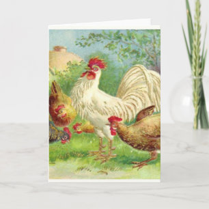 Cartes Pour Fêtes Annuelles Coq vintage et poulets
