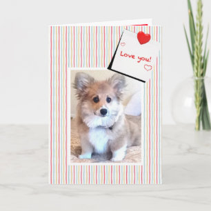 Cartes Pour Fêtes Annuelles Corgi Valentine