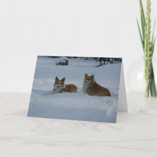 Cartes Pour Fêtes Annuelles Corgis joue dans la neige