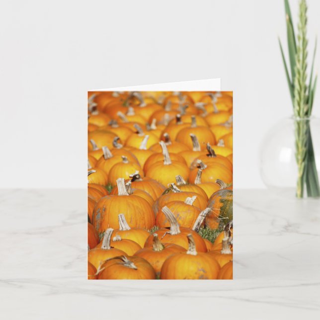 Cartes Pour Fêtes Annuelles Correction de citrouille (Devant)