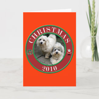 Cartes Pour Fêtes Annuelles Coton De Tulear à Noël