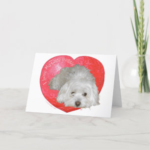 Cartes Pour Fêtes Annuelles Coton de Tulear Saint-Valentin